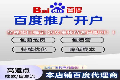百度推广的秘诀：以某电商平台的成功经验为例